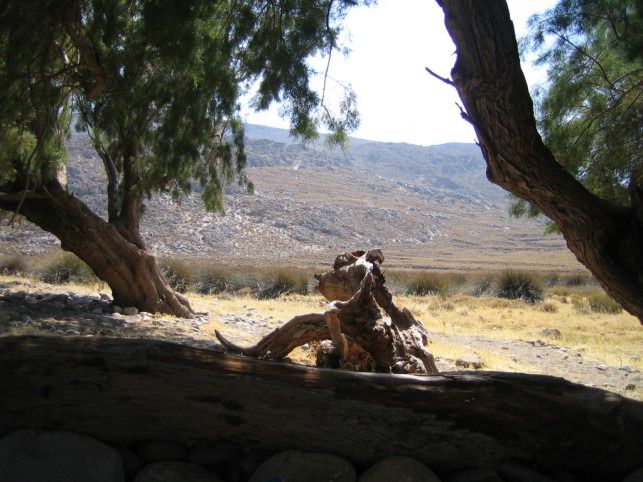 Meine 3 Lieblings-Tools für produktives Arbeiten